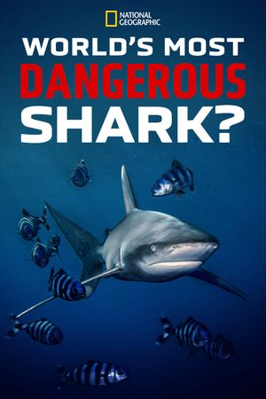 World's Most Dangerous Shark?'s poster