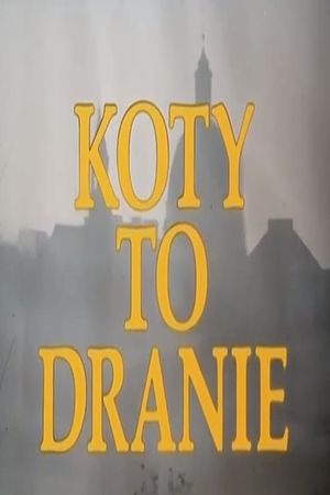 Koty to dranie's poster
