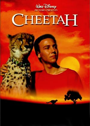 Cheetah's poster