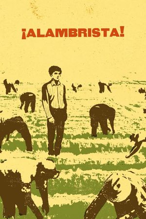 Alambrista!'s poster