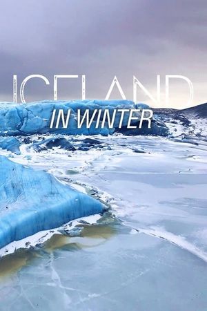 Iceland in Winter's poster