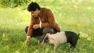Der Schweinehirt's poster
