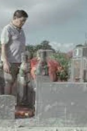 Nothing in the Cries of Cicadas's poster