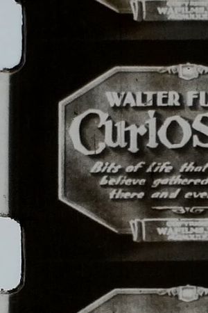 Walter Futter's Curiosities's poster image