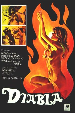 The House by the Edge of the Lake's poster
