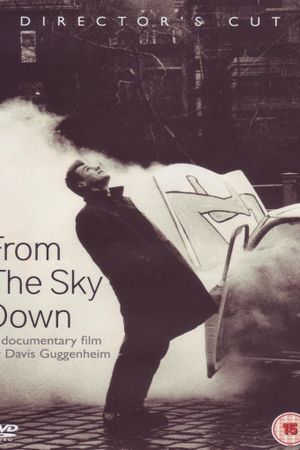 From the Sky Down's poster