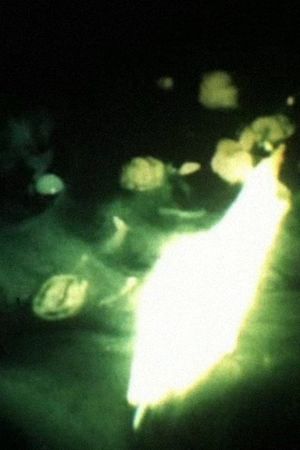 Bermuda Triangle's poster