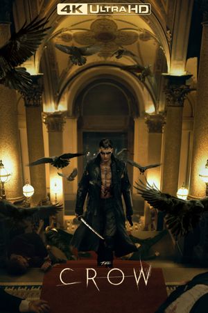 The Crow's poster