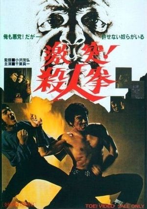 The Street Fighter's poster