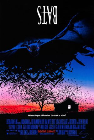 Bats's poster