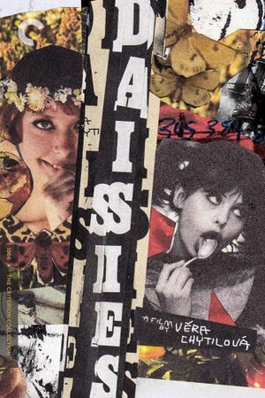 Daisies's poster