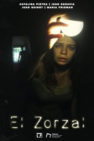 El zorzal's poster