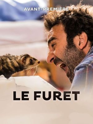 Le furet's poster