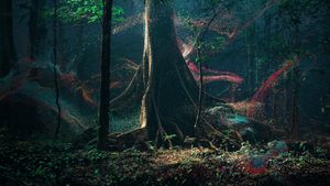 Breathing with the Forest's poster