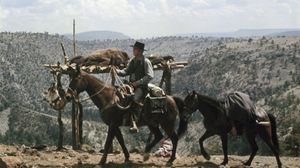 Lawman's poster