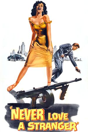 Never Love a Stranger's poster