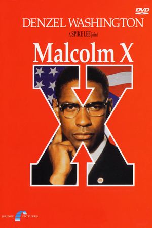 Malcolm X's poster