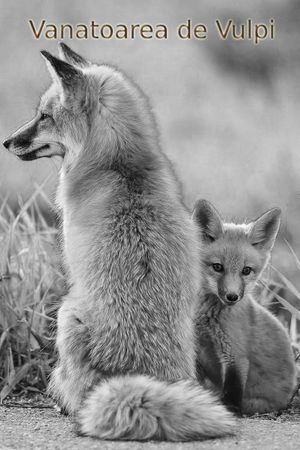 Foxhunting's poster