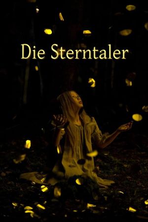 Die Sterntaler's poster