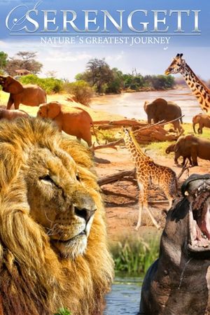 Serengeti: Nature's Greatest Journey's poster