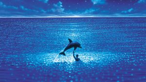 The Big Blue's poster