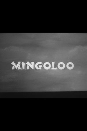 Mingoloo's poster image