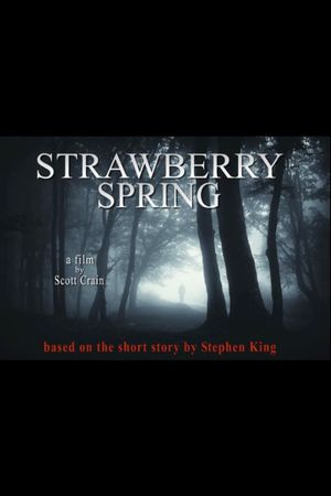 Strawberry Spring's poster
