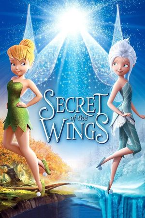Secret of the Wings's poster