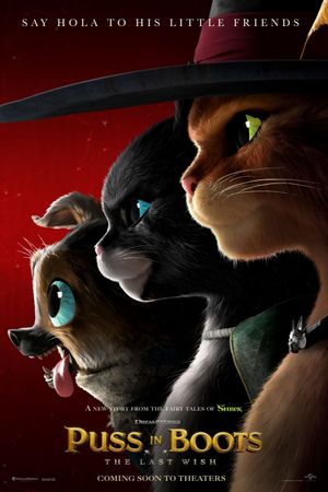 Puss in Boots: The Last Wish's poster