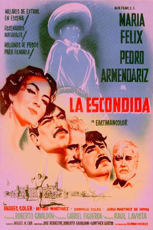 Viva Revolution's poster