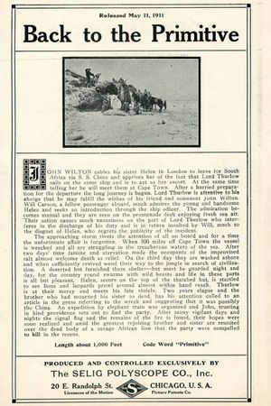 Back to the Primitive's poster