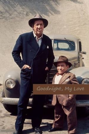 Goodnight, My Love's poster