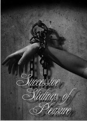 Successive Slidings of Pleasure's poster
