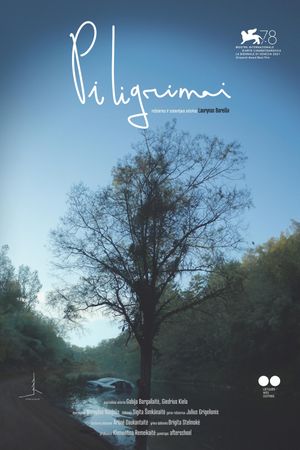 Pilgrims's poster