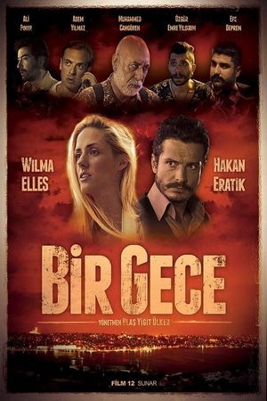 Bir Gece's poster