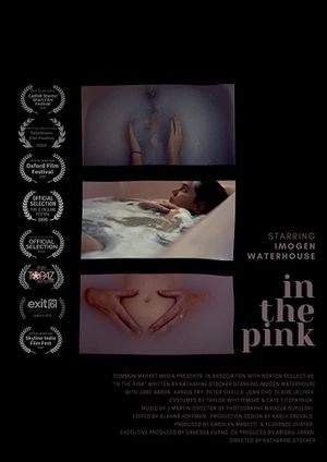 In the Pink's poster