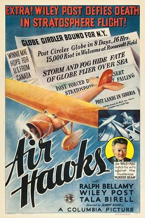 Air Hawks's poster image