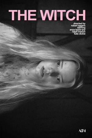 The Witch's poster