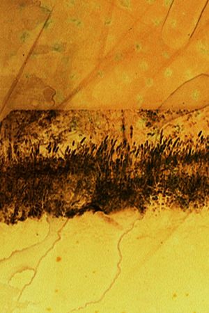 The Sight's poster