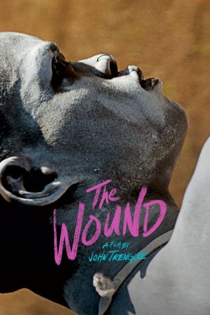 The Wound's poster