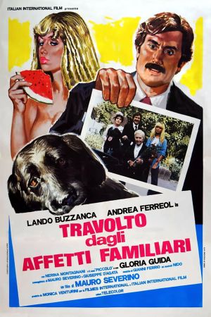 Travolto dagli affetti familiari's poster