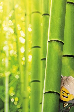 The Lego Ninjago Movie's poster