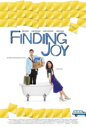 Finding Joy's poster