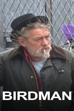 Birdman's poster