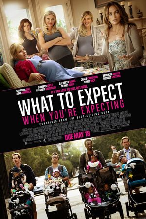 What to Expect When You're Expecting's poster