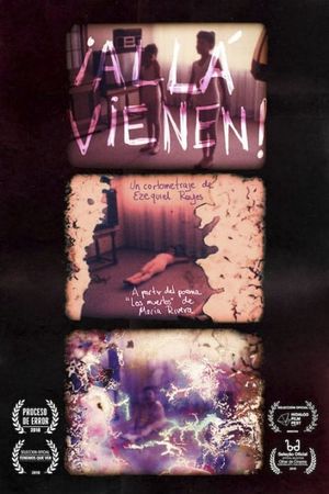 ¡Allá vienen!'s poster