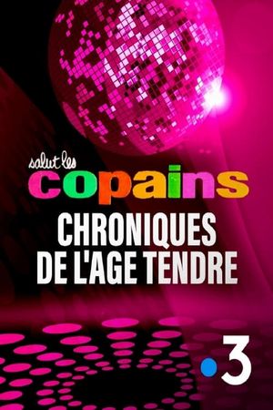Chroniques de l'âge tendre's poster
