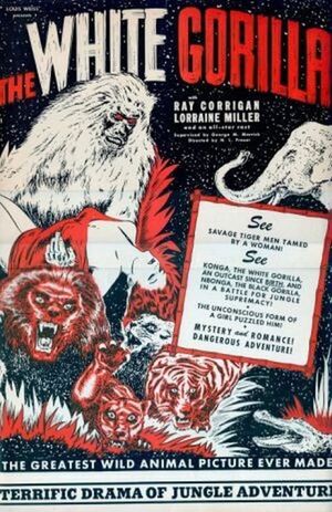 The White Gorilla's poster