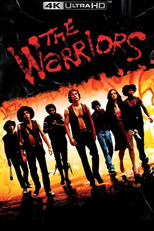 The Warriors's poster