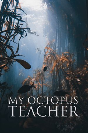 My Octopus Teacher's poster